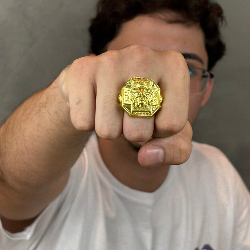 Dedeira Rei Leão Moeda Antiga