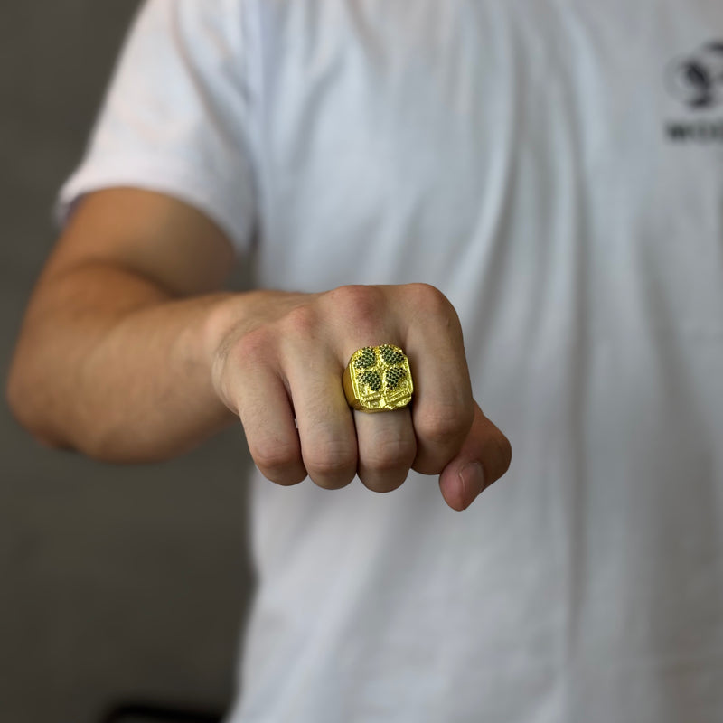 Dedeira Trevo Cada Um Com Sua Sorte Moeda Antiga