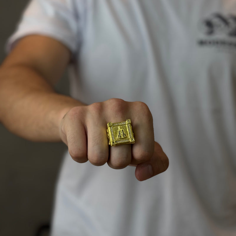 Dedeira Santa Quadrada Cravejada Moeda Antiga