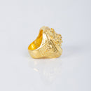 Dedeira Rei Leão Moeda Antiga